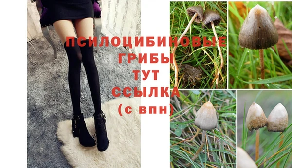 дмт Алексеевка