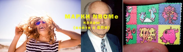 apvp Алзамай