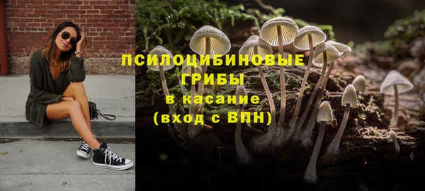 apvp Алзамай