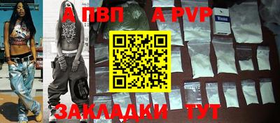 стаф Гай