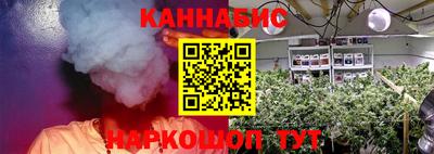 молекула духа Бийск