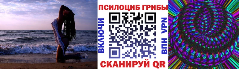 ссылка на мегу маркетплейс Зерноград Псилоцибиновые грибы GOLDEN TEACHER