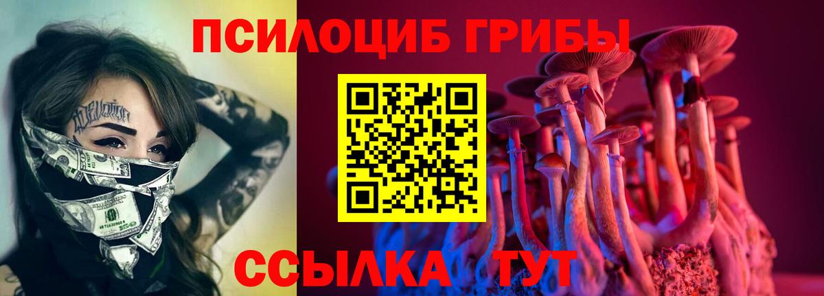 Галлюциногенные грибы Psilocybine cubensis Зерноград