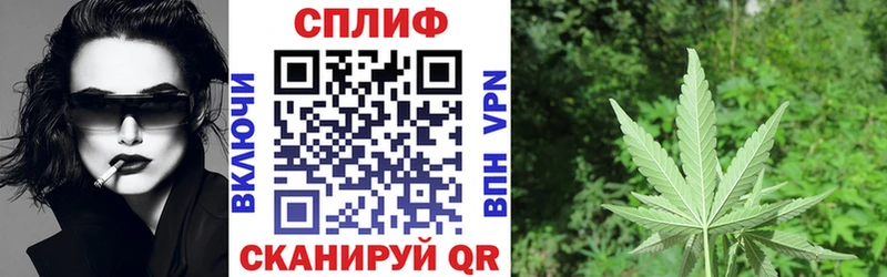 продажа наркотиков  Зерноград  Шишки марихуана план 